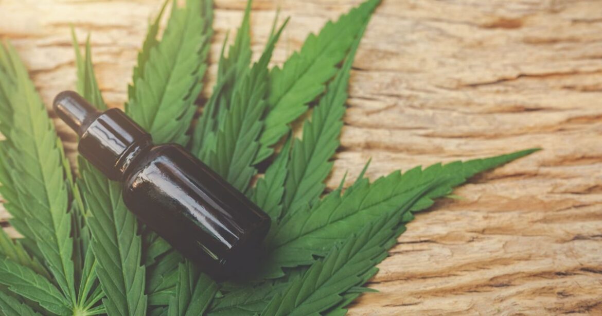 cannabis-medicinal:-entenda-os-beneficios-e-para-quem-e-indicada